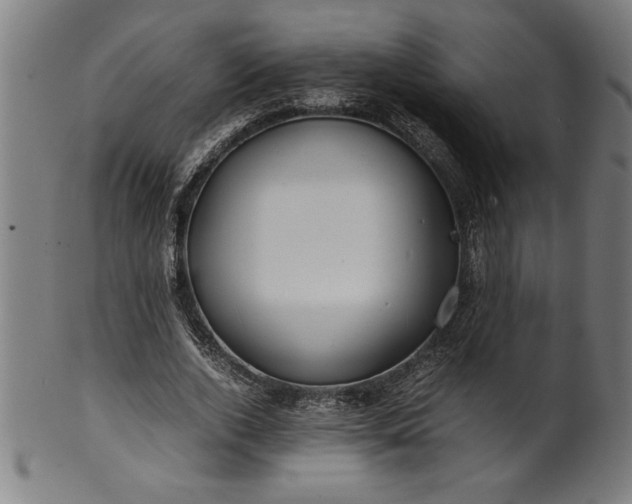 X0000099930728200806061453