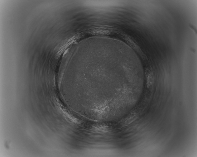 X0000099930729200806061453