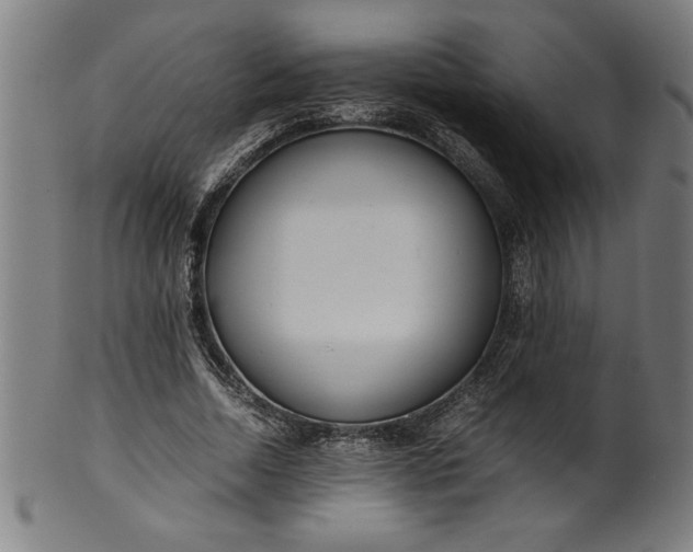 X0000099930730200806061453