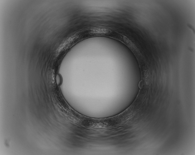 X0000099930731200806061453