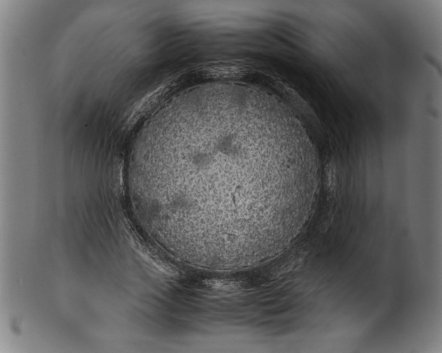 X0000099930733200806061453