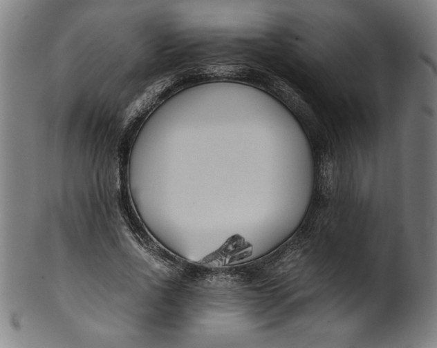 X0000099930734200806061453