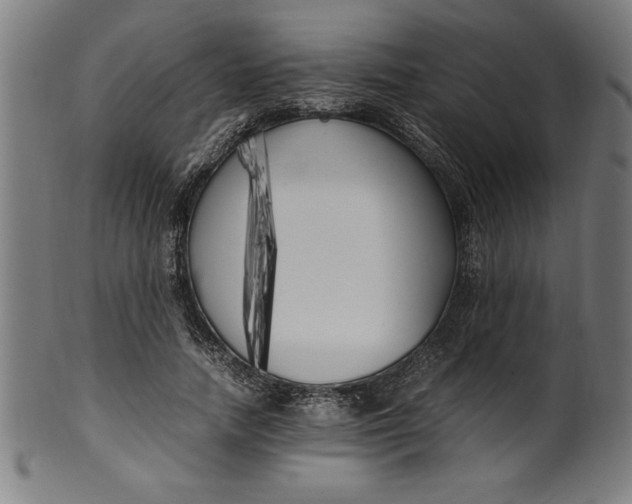 X0000099930738200806061453