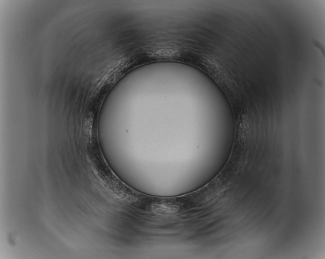 X0000099930739200806061454