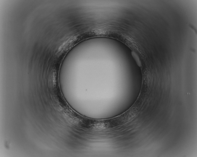 X0000099930740200806061454