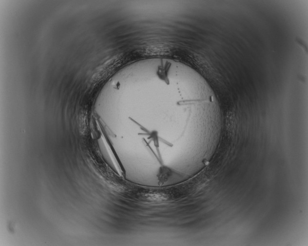 X0000099930741200806061454