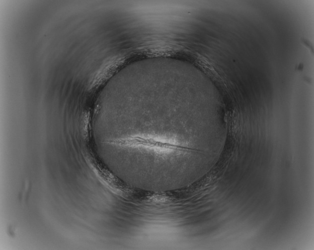 X0000099930742200806061454