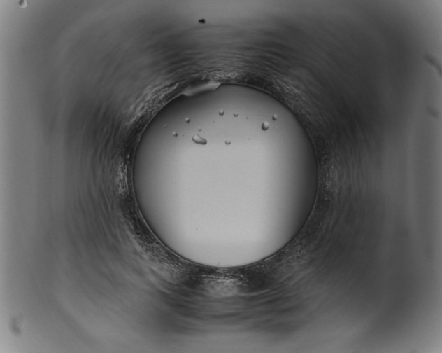 X0000099930743200806061454