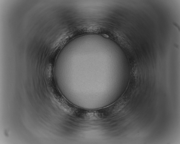 X0000099930744200806061454