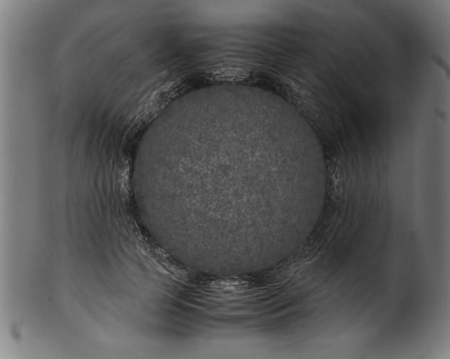 X0000099930745200806061454