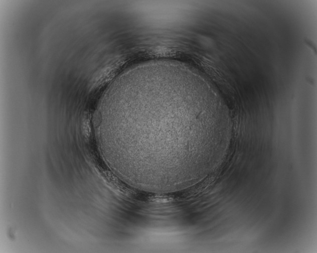 X0000099930746200806061454