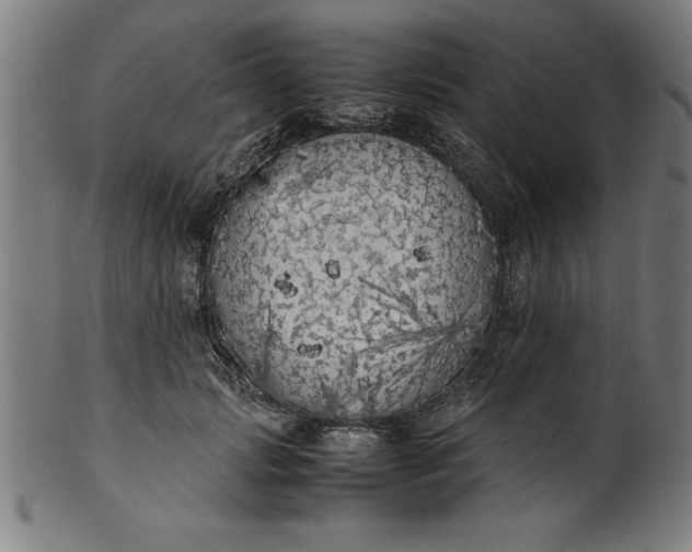 X0000099930749200806061454