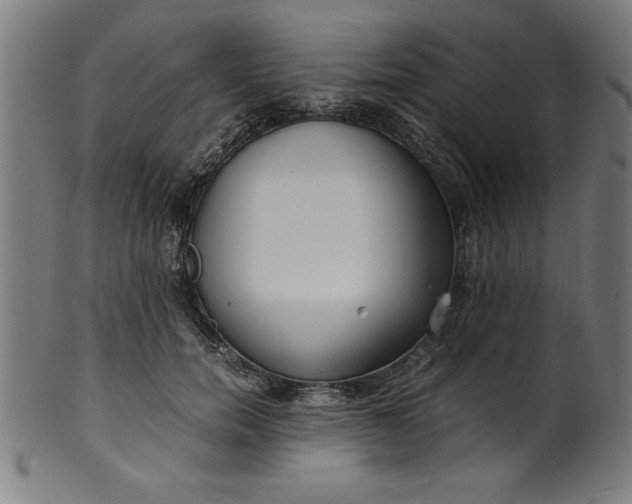 X0000099930750200806061454