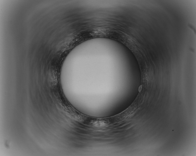 X0000099930751200806061454