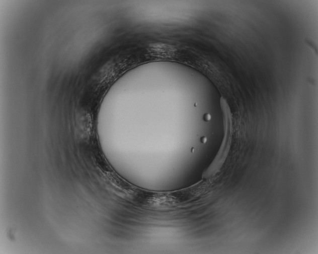 X0000099930752200806061454