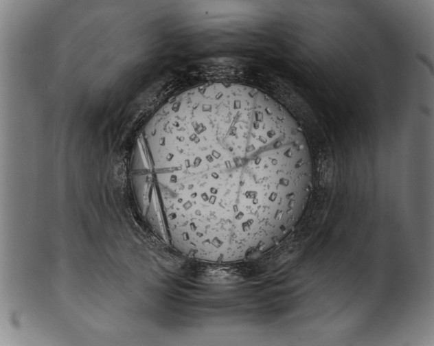 X0000099930753200806061454