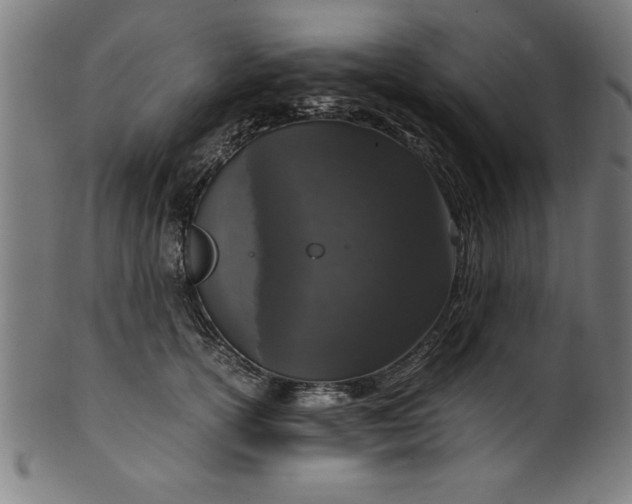 X0000099930754200806061454