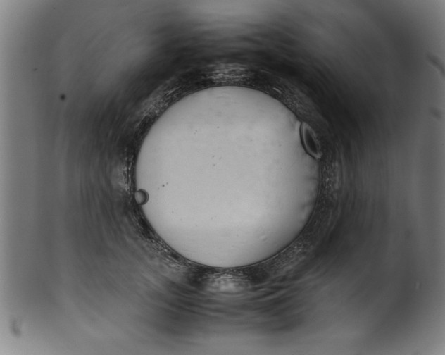 X0000099930755200806061454