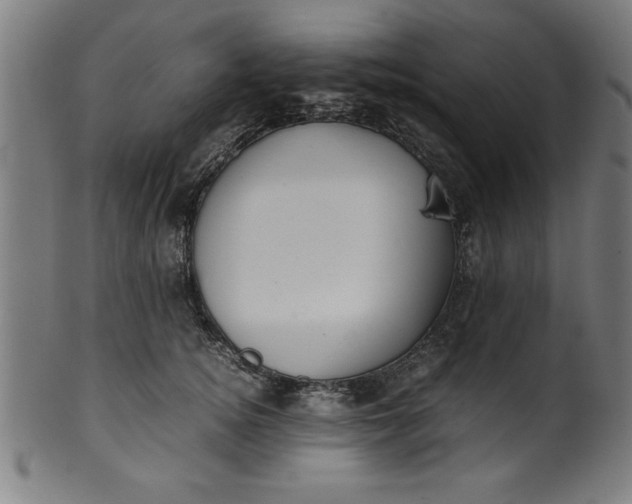 X0000099930756200806061454