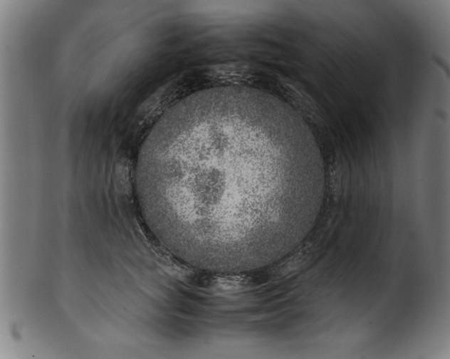 X0000099930757200806061454