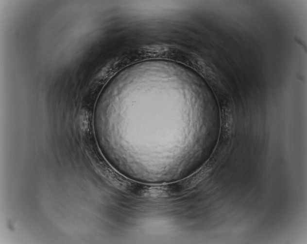 X0000099930758200806061454