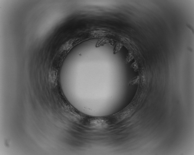 X0000099930759200806061454