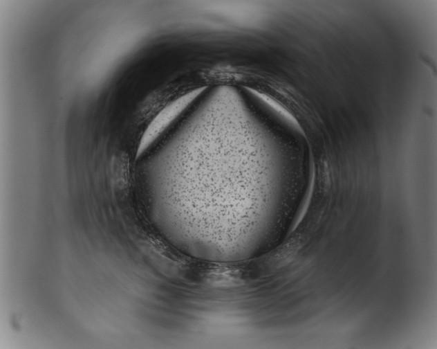 X0000099930760200806061454