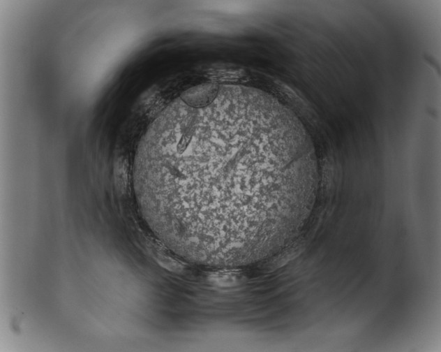 X0000099930761200806061454