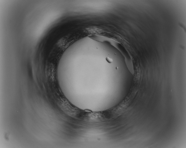 X0000099930762200806061454