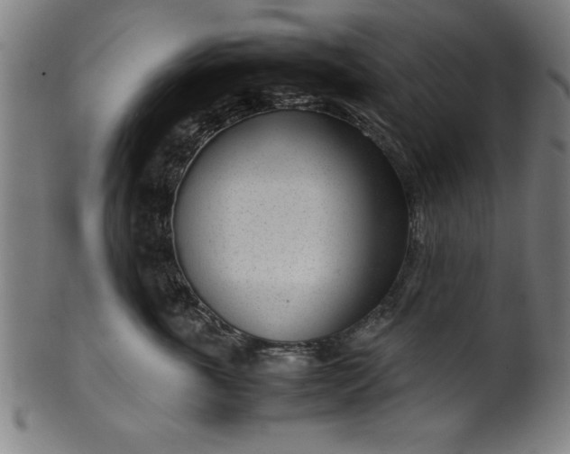 X0000099930763200806061454