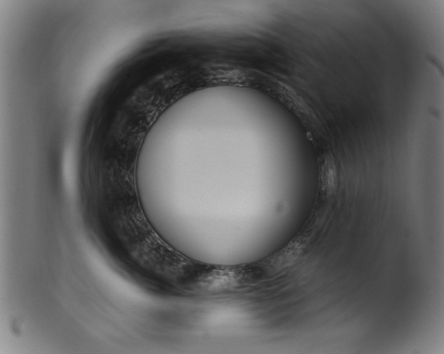 X0000099930764200806061454