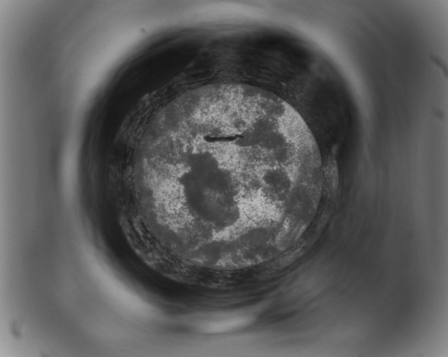 X0000099930765200806061454