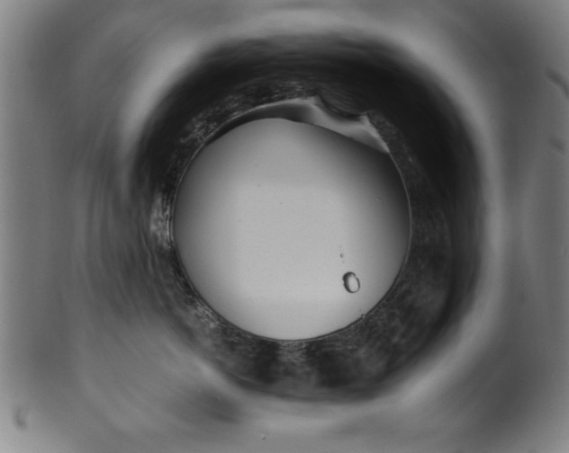 X0000099930766200806061454