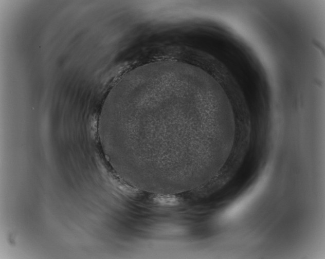 X0000099930767200806061454