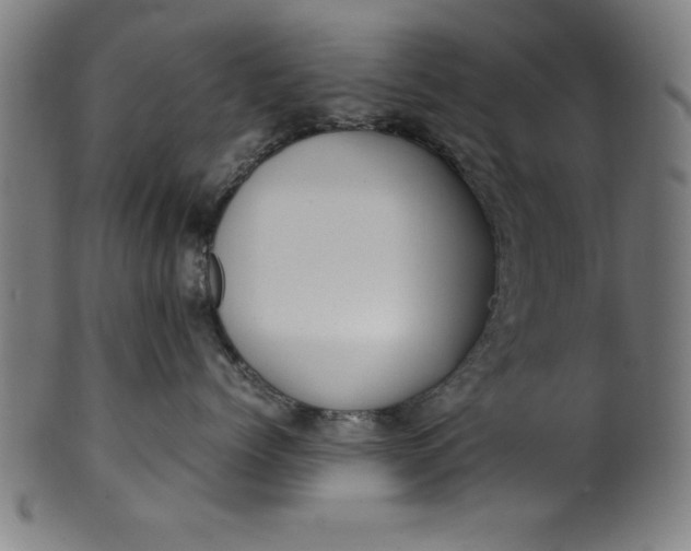 X0000099930768200806061454