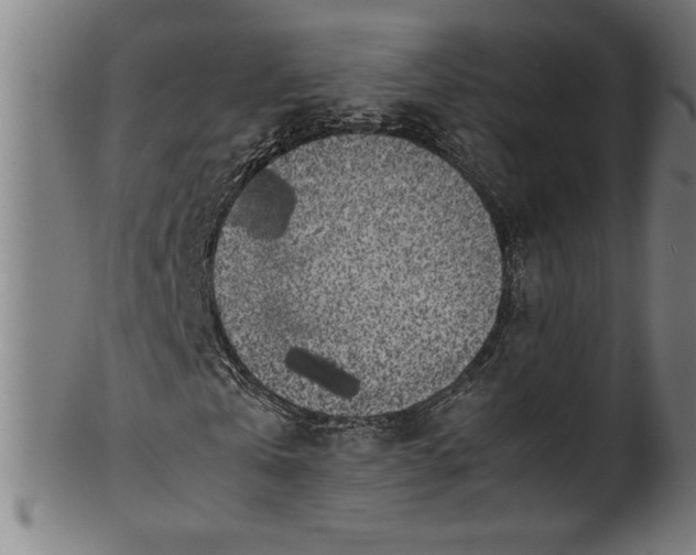 X0000099930769200806061453