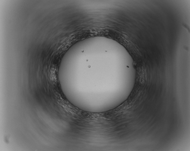 X0000099930770200806061453