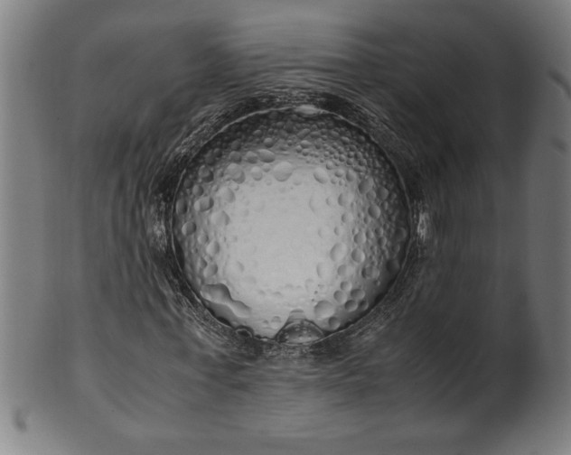 X0000099930771200806061453