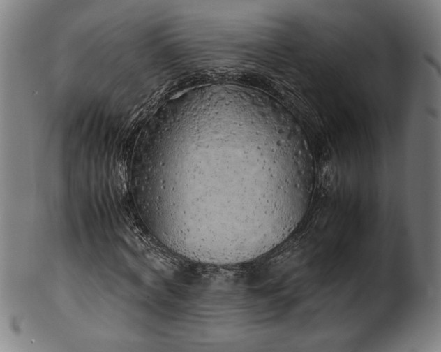 X0000099930772200806061453