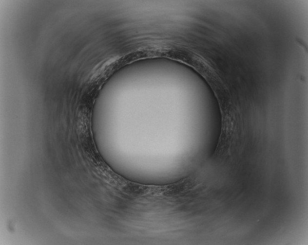 X0000099930773200806061453