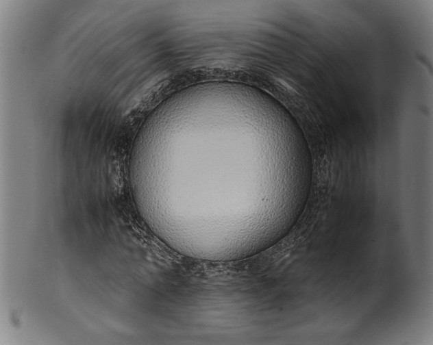 X0000099930774200806061453