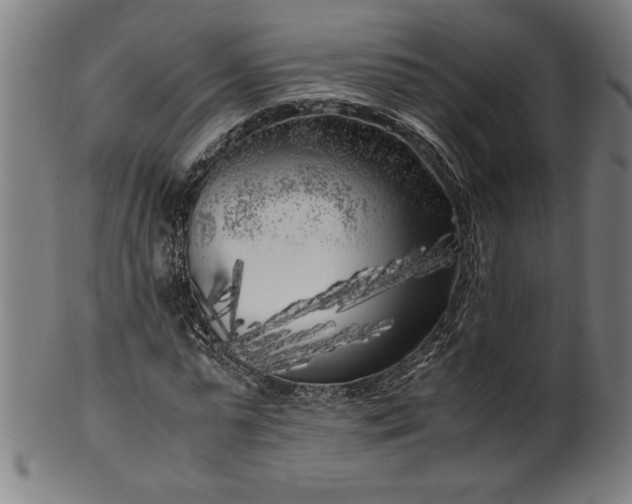 X0000099930775200806061453