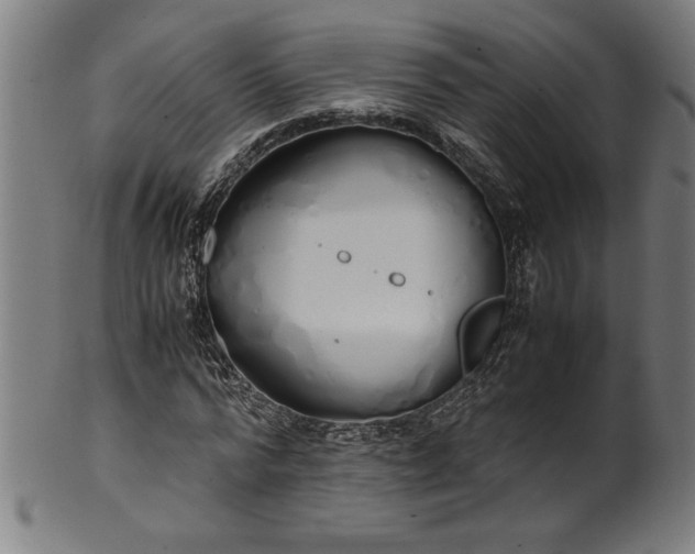 X0000099930776200806061453