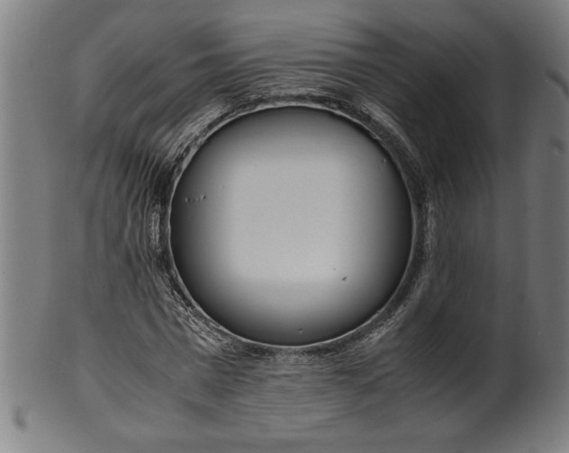 X0000099930777200806061453