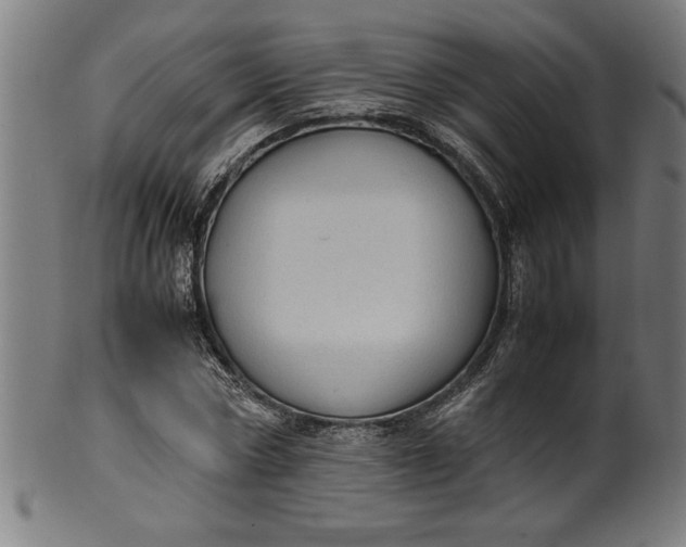 X0000099930778200806061453