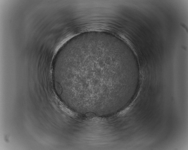 X0000099930779200806061453