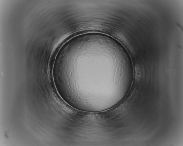 X0000099930780200806061453