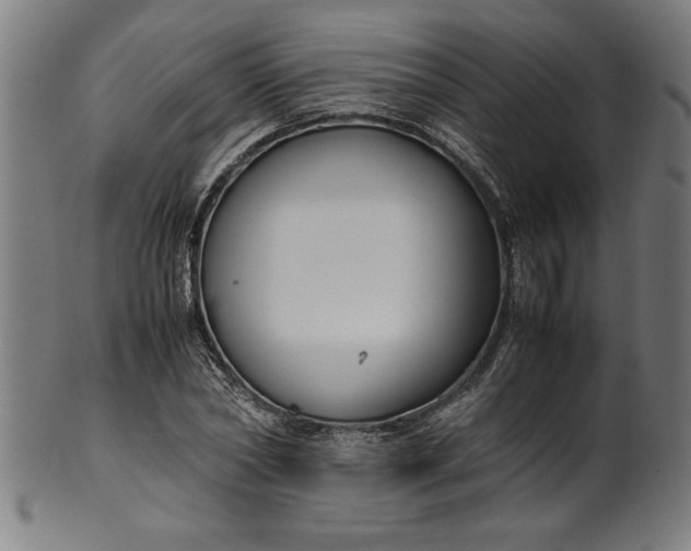 X0000099930782200806061453