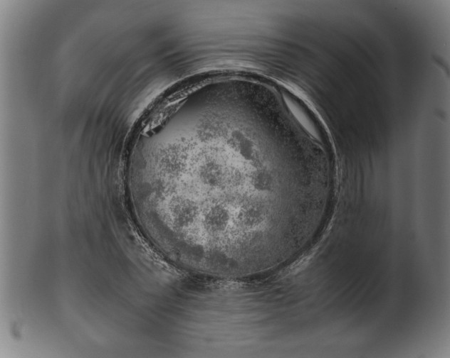 X0000099930783200806061453