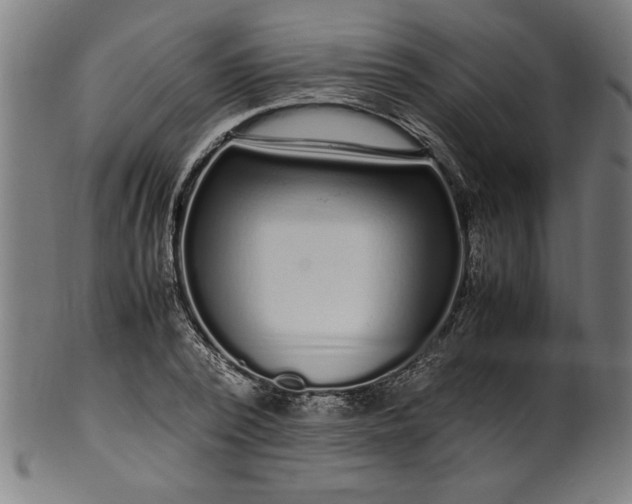 X0000099930784200806061453